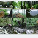 제18회차,간성 소똥령(생명숲) 길 -칙소폭포 이미지