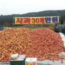 풍차백합바지락죽큰집 이미지