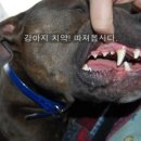 김천하나약국 이미지