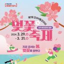 낙동강제방(강서30리벚꽃길) 이미지