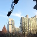 장미마을8단지.현대아파트 | 분당 야탑 장미마을8단지현대 임장 다녀왔어요^^