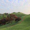 함안 말이산고분군 이미지