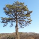 춘기농장 이미지