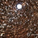 술샘박물관(젊은달 와이파크) 이미지