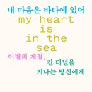 내마음바다