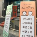 뷰티나개 예쁜냥 이미지