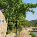 돌고래하우스 이미지