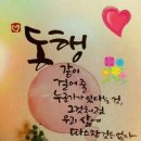 1223 이미지