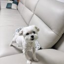 순산목장 이미지