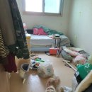 라임동물약품 이미지