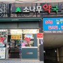 소나무약국 네이버블로그