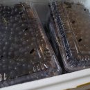 덕봉농장 | 낭만부부의 건강을 책임질 아로니아