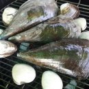 힐마레펜션 이미지