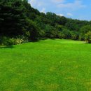 근영농산(주)양주컨트리클럽 이미지