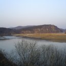 고목나무 이미지