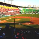 페리카나(일동점) | 4/24 단관후기 LG트윈스 VS 한화이글스 - 승! : 잉루홈런!