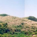 산용목장 이미지