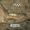 백제사 이미지
