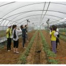 임영택농장 이미지