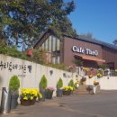 275카페 이미지