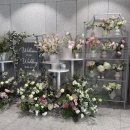 펠리체조수니신세계영등포 | 영등포 더베르지(더베르G) 홀투어 상담 후기ㅣ서울 신상 밝은 단독홀 지방하객 웨딩홀 추천 27년 견적 공유