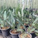 김세종농장 이미지