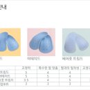 알즈너 점프 대리점 이미지