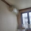 성서보람타운 | 성서보람타운 도배 잘 하는 곳 , 대구 용산동 23평 광폭합지 도배 2.2t 장판 시공 사례 대구 누수도배...