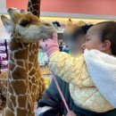 평촌봄약국 이미지