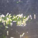 주식회사 아라 이미지