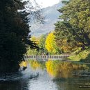 소로3-55호선 | 신재 주세붕선생이 안향을 제사하기 위해 세운 사당!, 사적 제55호_영주 소수서원(2017.10.29.일요일)