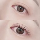 분당 미금역속눈썹펌 잘하는곳 결과가 말해주는 후기 - 더꽃님뷰티랩