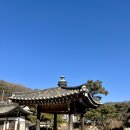 채향 | [파주] 한옥 감성 대형카페 공간채향｜절편파니니·수묵라떼까지 분위기 미쳤던 곳✨