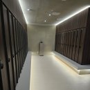 베테랑스크린골프 | 빌드업피트니스 골프아카데미 언주역점 방문후기⛳️