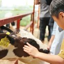 진로목장 이미지