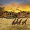 한국폴리텍 II 대학 남인천캠퍼스 이미지