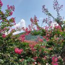 강빛마을 이미지