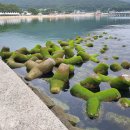 명사해수욕장 주차장 이미지