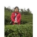 외도여행 이미지