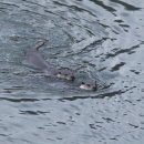 한가로이 이미지