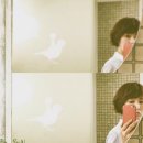 김선아 카카오 검색결과