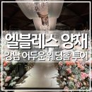 양재 | W.[웨딩홀 투어] 엘블레스 양재 웨딩홀 상담후기