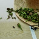 재림농장 이미지