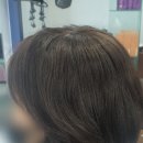 화성미용실김호증모가발 이미지