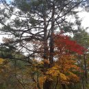 정선다온펜션 이미지