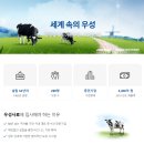 우성사료 | [우성그룹] 신입 면접후기 - 우성사료 면접질문 위치 면접비
