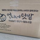 언니네텃밭영광공동체