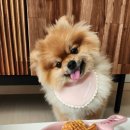 쁜이네곳간 이미지