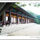 관악산길 이미지