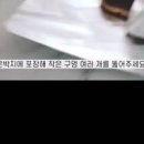 식빵 1장 칼로리 제법 높네요 식빵 냉동보관 유통기한 이미지